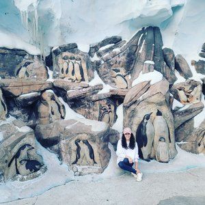 Meet your Posher, N andrea